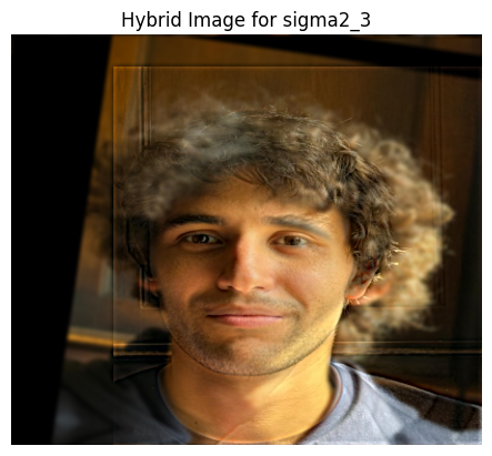 Hybrid Image of Francesco and Luca