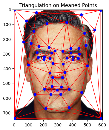 George's Face Warped to Mean Shape with Triangulation