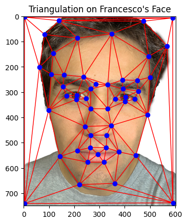 Triangulation on Francesco's Face