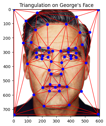 Triangulation on George's Face